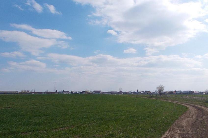 Teren agricol extravilan de 2000 mp, în Gălbinași
