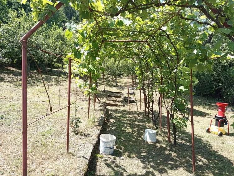 Casă cu Teren 1803 Mp în Anina