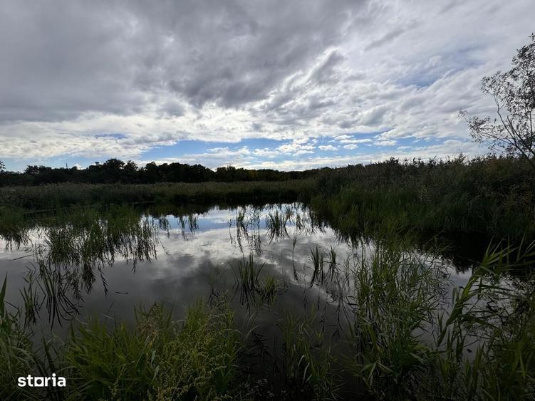 Teren cu deschidere la lac str Orhideelor-conectare imediata la curent - 3