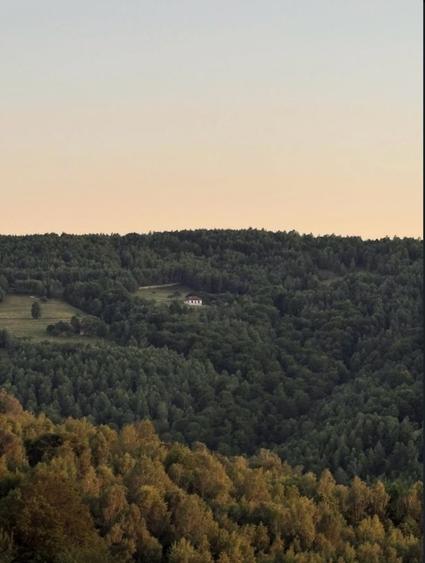 Casă cu 3 camere în Bulz