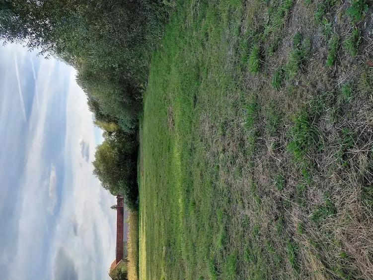 Teren de 4500 mp, în Stupinii Prejmerului