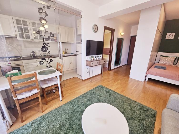 Garsoniera Baneasa Iancu Nicolae - Aleea Privighetorilor - 2
