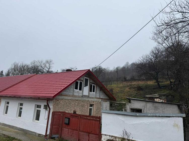 Vand casa la Anina! - 4