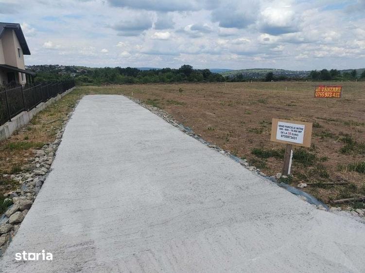 Teren de 600 mp, în Vișani