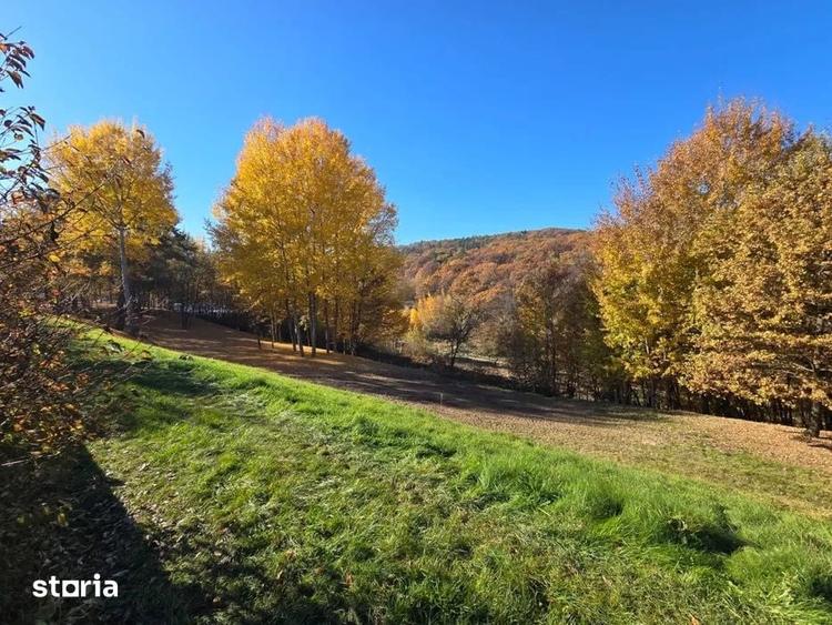 Teren de 3600 mp, în Central