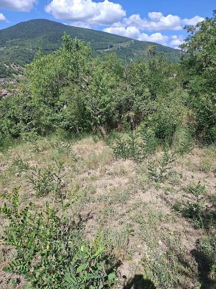 Teren de 770 mp, în Central