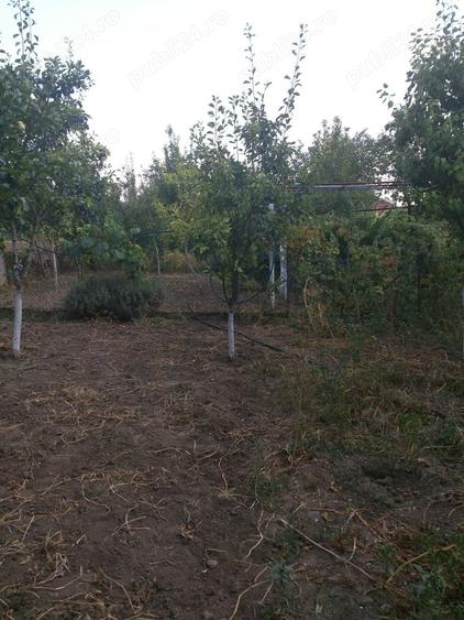 Casă cu 5 camere cu Teren 3000 Mp în Satchinez