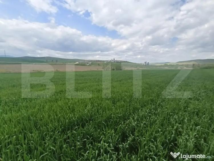 Teren de 52600 mp, în Unirea