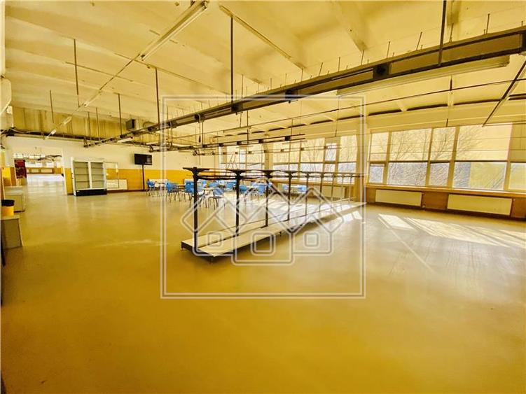 Spațiu industrial, de 1,200 mp, în Terezian