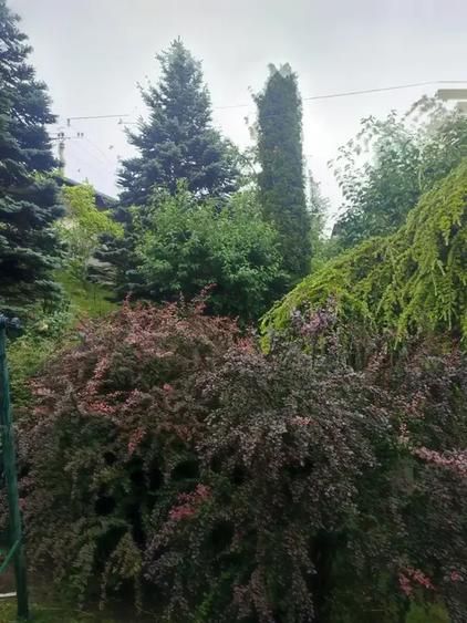 Casă cu 4 camere cu Canalizare în Tălii