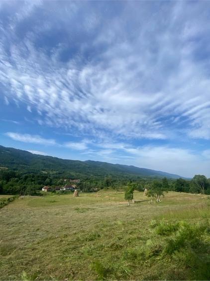 Teren de 33070 mp, în Bucova