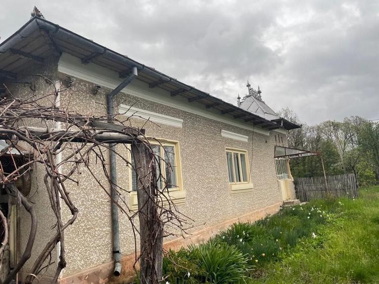 Spațiu comercial, în Dănicei