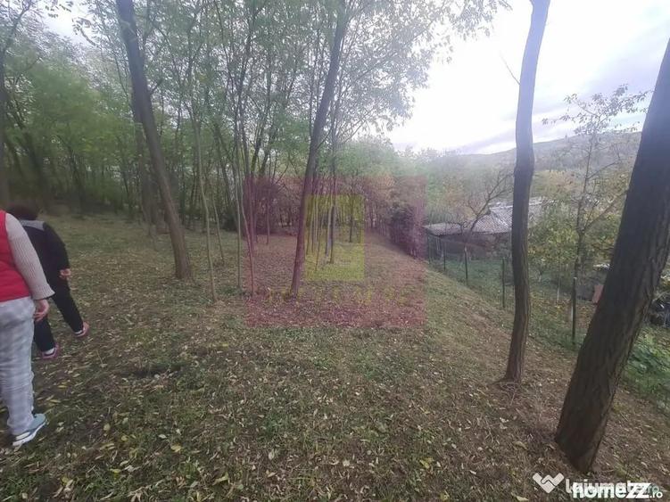 Casă cu 3 camere cu Teren 3410 Mp în Aluniș