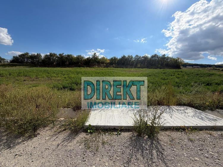 Teren agricol extravilan de 1000 mp, în Exterior Est