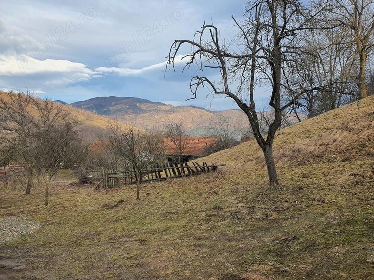 Teren în Bran