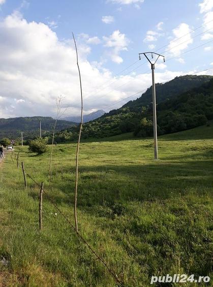 Teren de 10000 mp, în Cheia