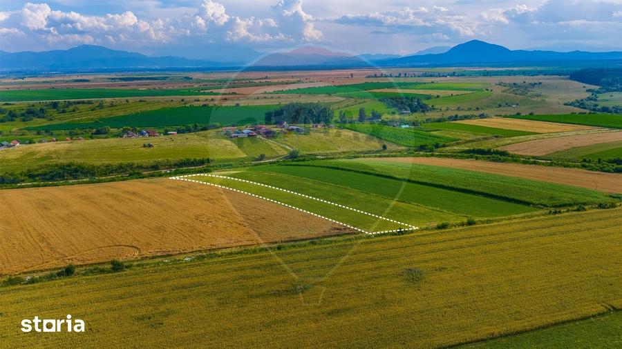 Oportunitate pentru fermieri: 10.800 mp teren arabil in Rotbav, Bra?ov - 3