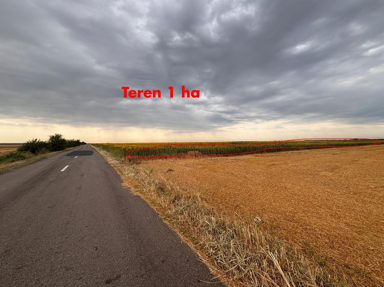 Teren agricol extravilan de 120000 mp, în Vlad Țepeș