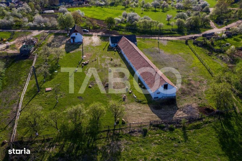 Casă cu 3 camere cu Teren 123 Mp în Pianu