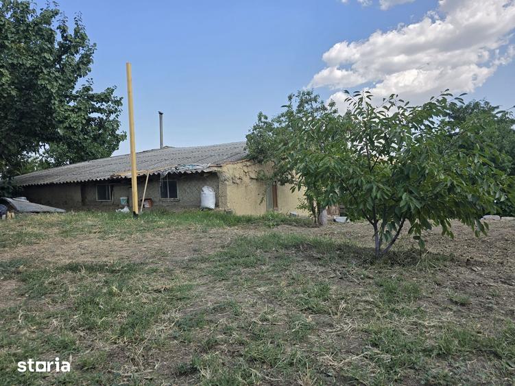 Casă cu 4 camere cu Teren 1400 Mp în Cerna
