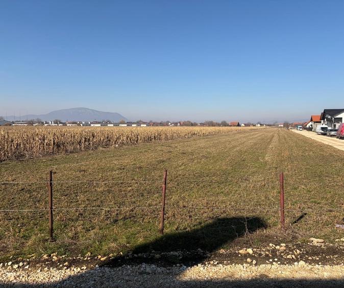 Teren Construcții intravilan de 6000 mp, în Stupini