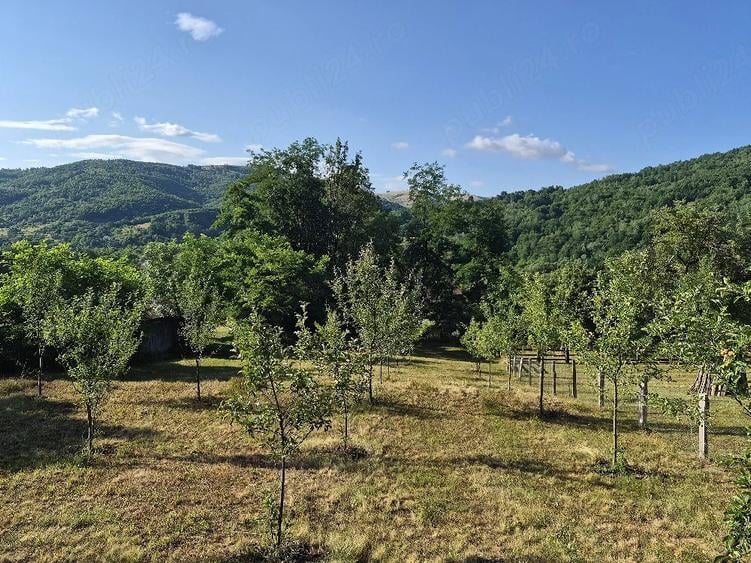 Teren de 1474 mp, în Sălciua