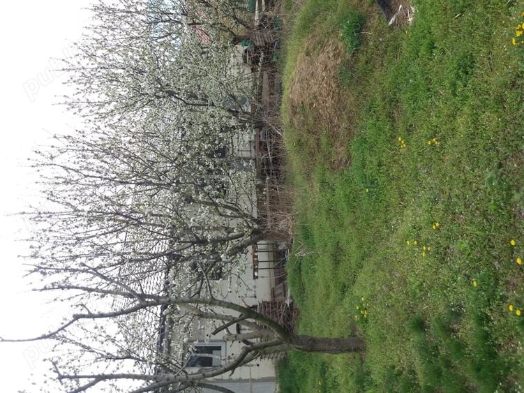 Casă în Chiscani
