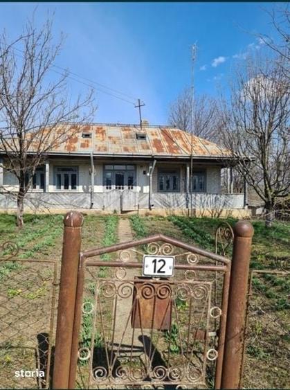 Casa batraneasca,locuibila in Cervicesti ,MIhai Eminescu,1200mp teren - 2