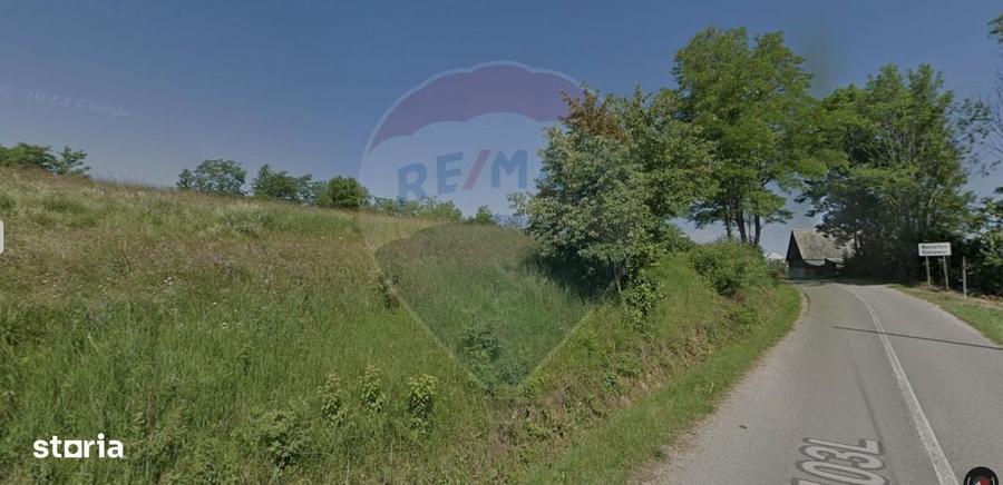 Spațiu comercial, în Mănășturu Românesc