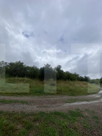 Teren agricol extravilan de 5150 mp, în Simeria