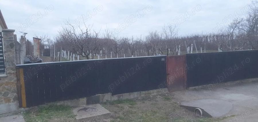 Teren de 966 mp, în Păuca