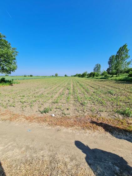 Spațiu comercial, în 1 Decembrie