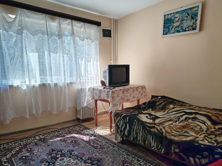 Apartament cu 2 camere decomandat în Valea Rosie