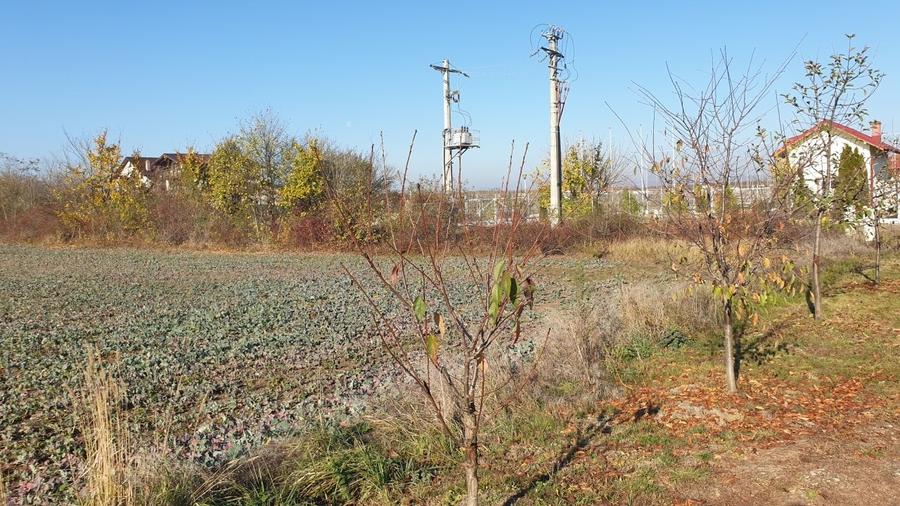Teren Construcții intravilan de 14036 mp, în Balotești