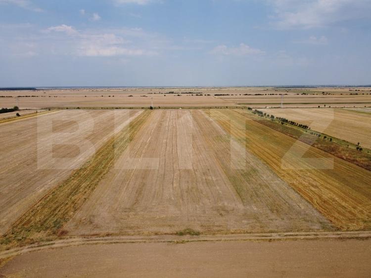 Teren Construcții intravilan de 7500 mp, în Sud