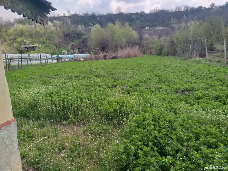 Teren de 3500 mp, în Izvoarele
