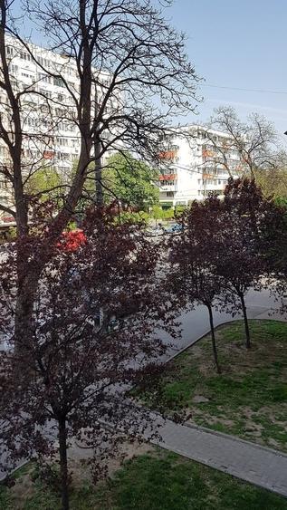 Garsonieră semidecomandată în Domenii