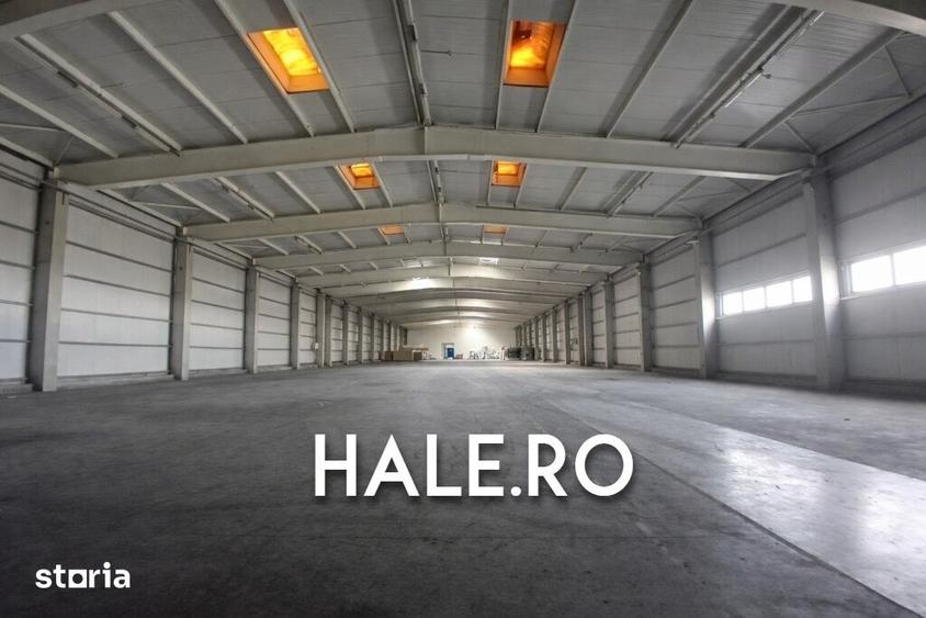 Spațiu comercial, de 4,200 mp, în Chiajna