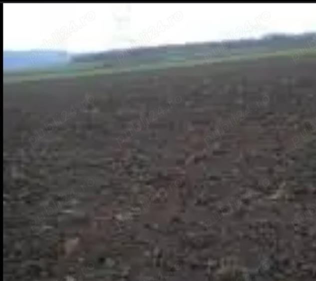Teren agricol extravilan de 40000 mp, în Costești