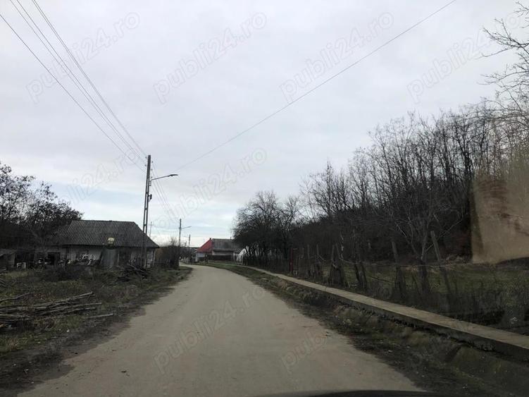 Teren de 3478 mp, în Viișoara