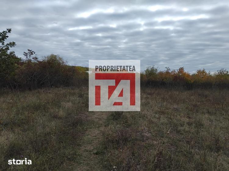 Teren de 2476 mp, în Tăuții-Măgherăuș