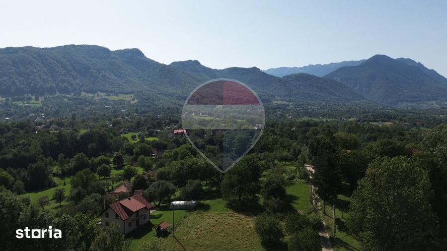 Teren 3,000mp Predelut / Strada Pe Tarina - 6