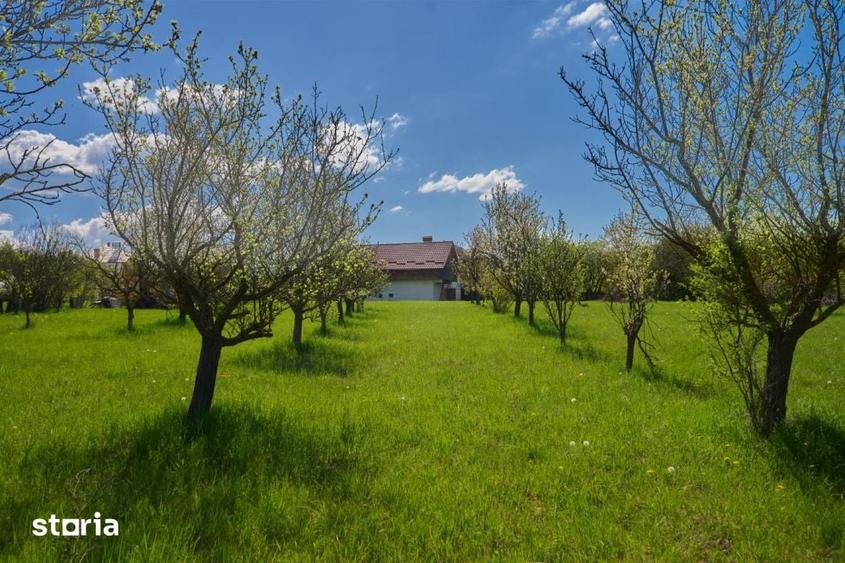 Casă cu 4 camere cu Teren 9915 Mp în Lerești