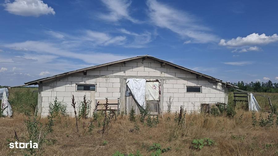 Teren de 5000 mp, în Mânăstioara