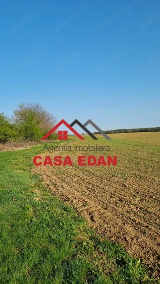 Teren extravilan in Urleta--5000m--18.500e - 6