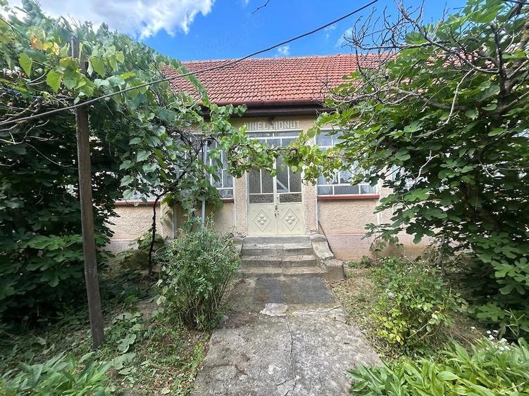 Casă cu 4 camere cu Teren 3500 Mp în Ficătar