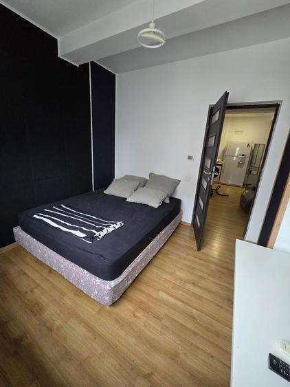 Apartament cu 2 camere semidecomandat în Olteni