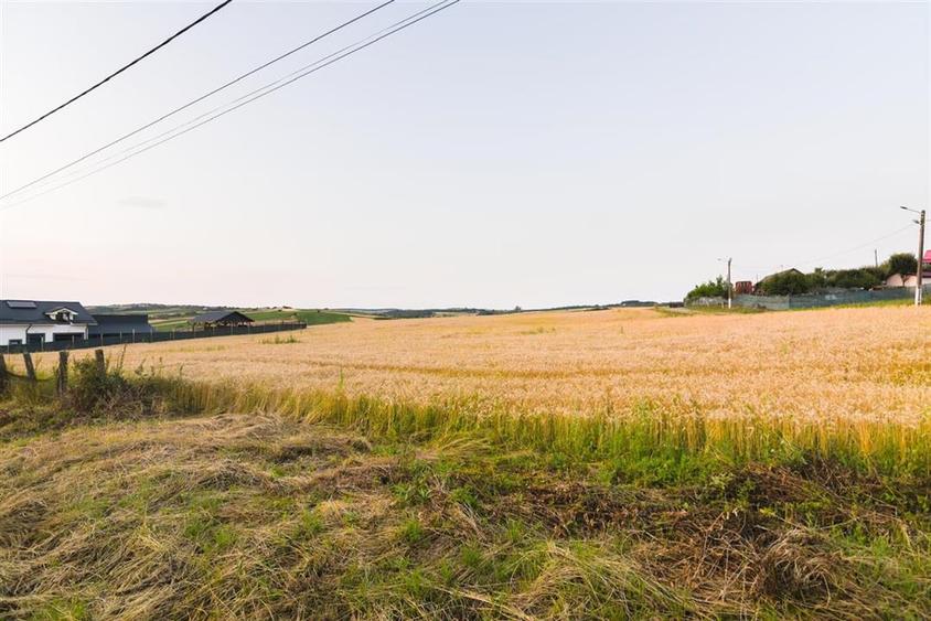 Teren Construcții intravilan de 1000 mp, în Lăzăreni