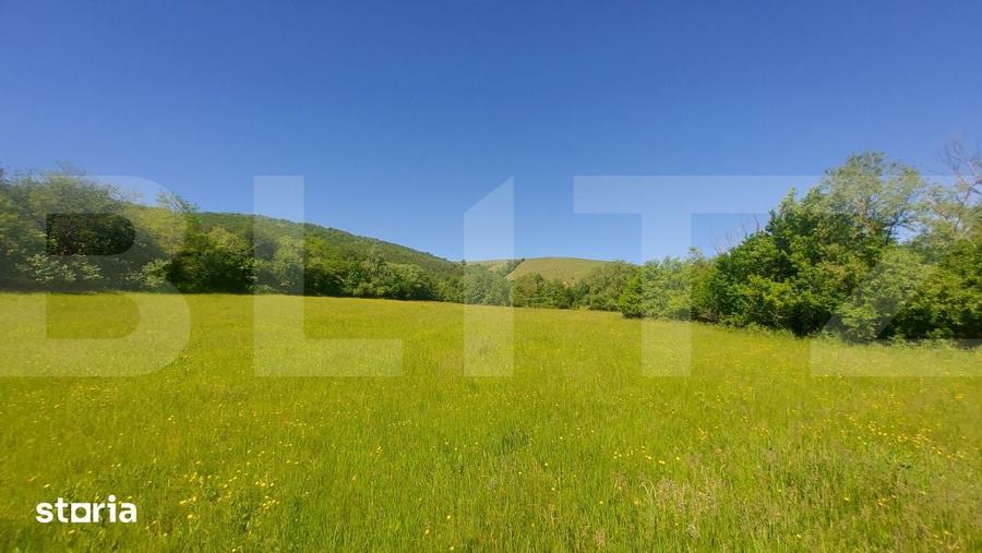 Teren de 36200 mp, în Ozun