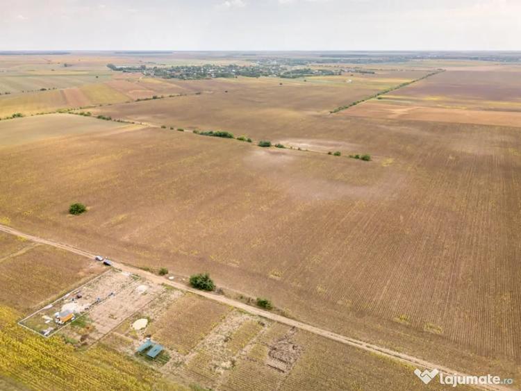 DASCALU TEREN INTRAVILAN 11300 MP, INVESTITIE! - Dascalu (Bucuresti-Ilfov) - 16